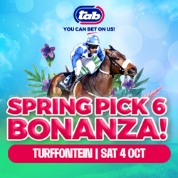  4 RACING SPRING