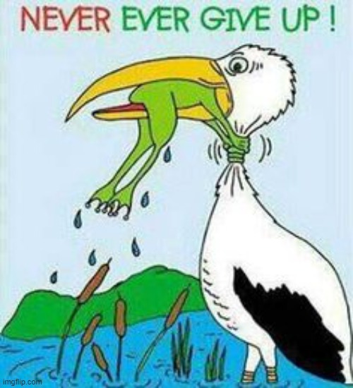 5BE54337-88B3-40AF-84F3-D8E05F1D2031.jpeg