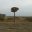 20220917_065925.jpg