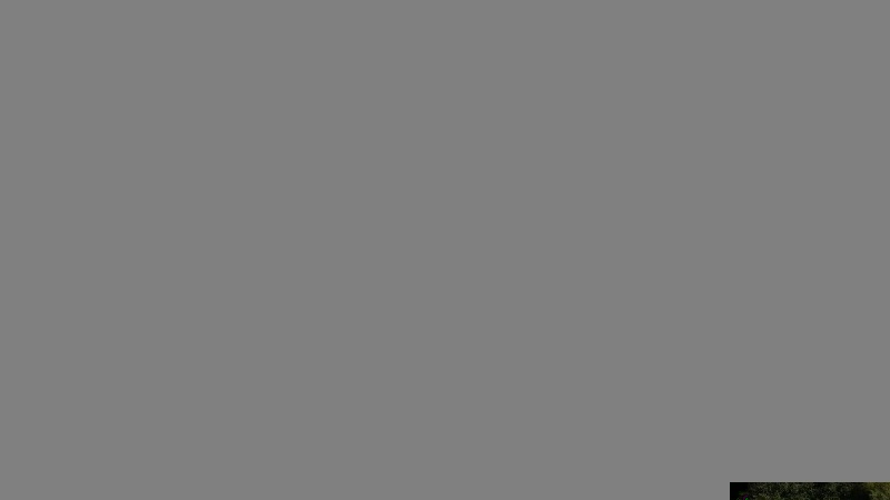 20180911_115409.jpg