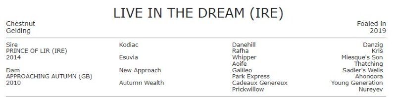 LIVEINTHEDREAM.jpg
