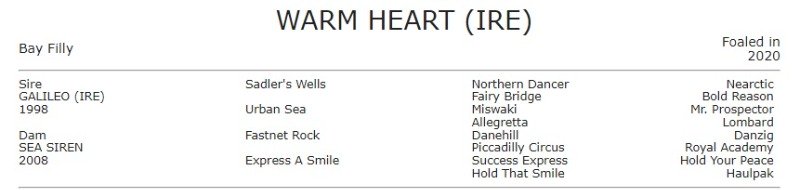 WARMHEART.jpg
