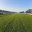 DEEA91ED-77F4-4D56-ADDB-E83306F0732C.jpeg