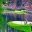 Masters-Golf-Tournament-WGI.jpg