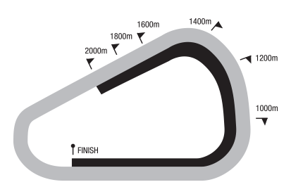 GREY_2020-07-07.png