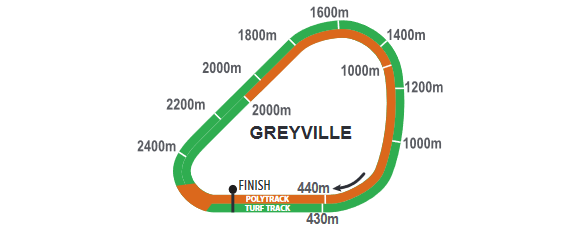 Greyville_2021-09-01.png