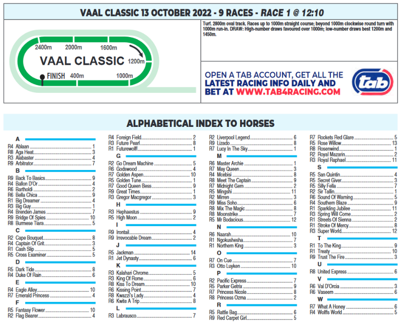 Screenshot2022-10-13at07-39-22CFSA_VAAL2022.10.13.indb-VAAL2022.10.13.pdf.png