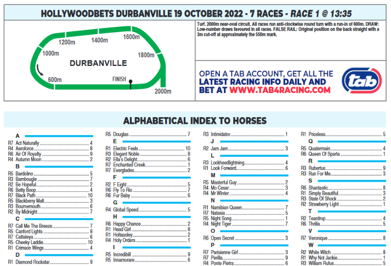 Screenshot2022-10-18at22-24-38CFSA_DURBANVILLE2022.10.19.indb-HOLLYWOODBETSDURBANVILLE2022.10.19.pdf.png