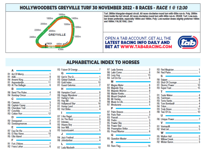 Screenshot2022-11-29at22-41-46CFSA_GREYVILLE2022.11.30.indb-HOLLYWOODBETSGREYVILLE2022.11.30.pdf.png