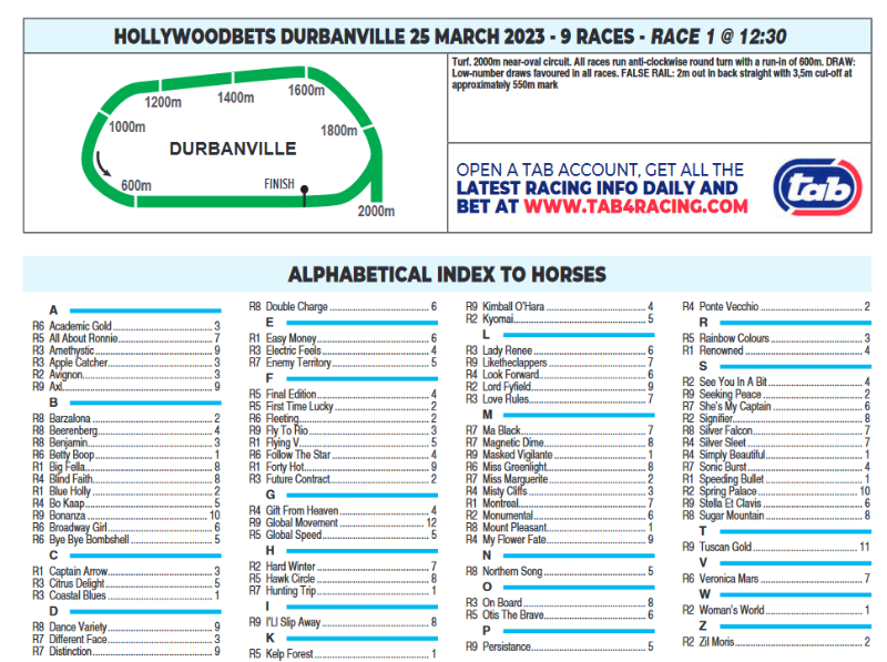 Screenshot2023-03-24at09-55-59HOLLYWOODBETSDURBANVILLE2023.03.25.pdf.png