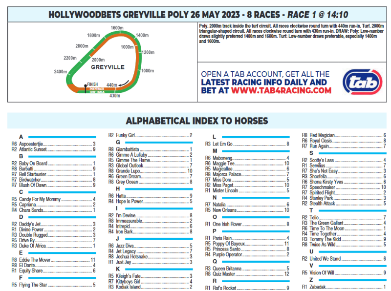 Screenshot2023-05-26at03-45-49HOLLYWOODBETSGREYVILLE2023.05.26.pdf.png