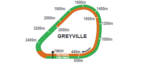 Screenshot_2021-02-09CFSA_GREYVILLE20210210indb-HOLLYWOODBETSGREYVILLE20210210pdf_2021-03-14.png