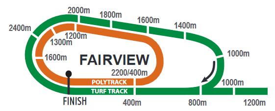 Screenshot_2021-02-11CFSA_FAIRVIEW20210212indb-FAIRVIEW20210212pdf_2021-03-25.png