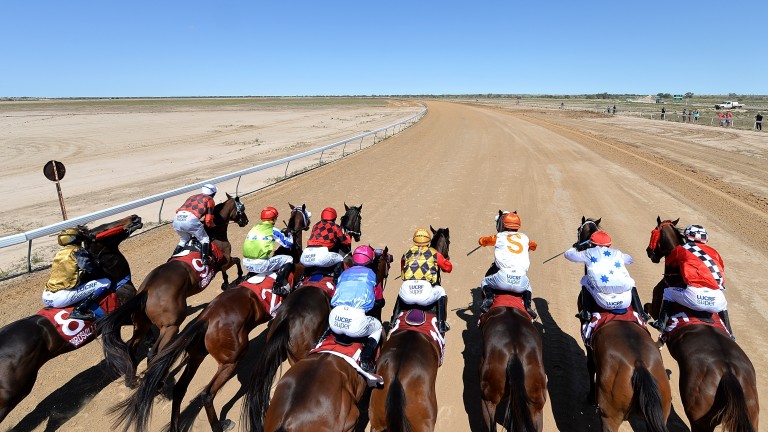 birdsville.jpeg