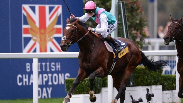 frankel.jpeg