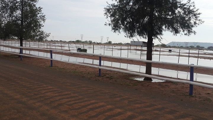 image_2014-11-12.jpg