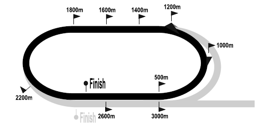 turfin_2020-10-09.png