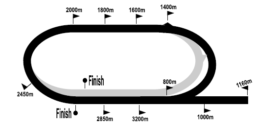 turfstand_2021-01-15.png