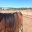 4D767F6E-7966-4994-8514-CEC47B6277C2.jpeg